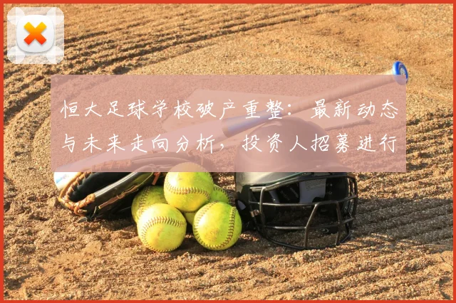 恒大足球学校破产重整：最新动态与未来走向分析，投资人招募进行中